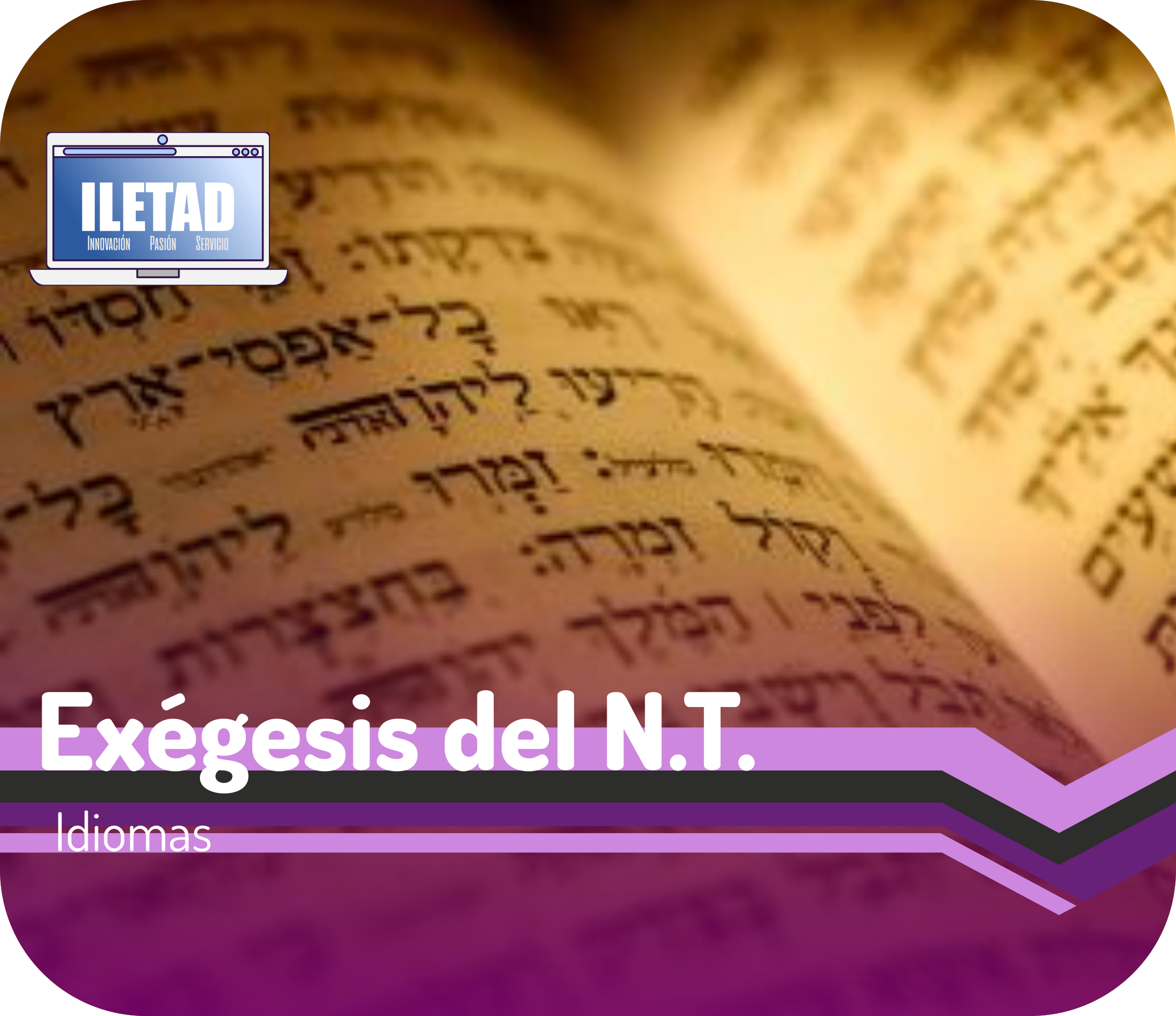 Exégesis del Nuevo Testamento